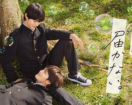 海南seo优化营销